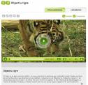 Objectiu tigre | Recurso educativo 27461