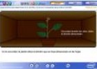 Las plantas necesitan clorofila y luz | Recurso educativo 2748