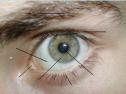 El ojo y sus partes | Recurso educativo 3026