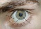El ojo y sus partes | Recurso educativo 3026