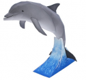 Animales: Delfín | Recurso educativo 31119