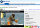 Video: Drunk monkeys mirror people | Recurso educativo 31177