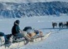 Els Inuit | Recurso educativo 32917