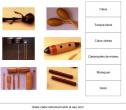 Els instruments de percussió Orff | Recurso educativo 5402