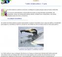Contaminación marina 2 | Recurso educativo 6495