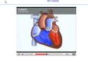 Vídeo: el corazón | Recurso educativo 6645