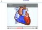 Vídeo: el corazón | Recurso educativo 6645