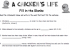 A chicken's life | Recurso educativo 63340