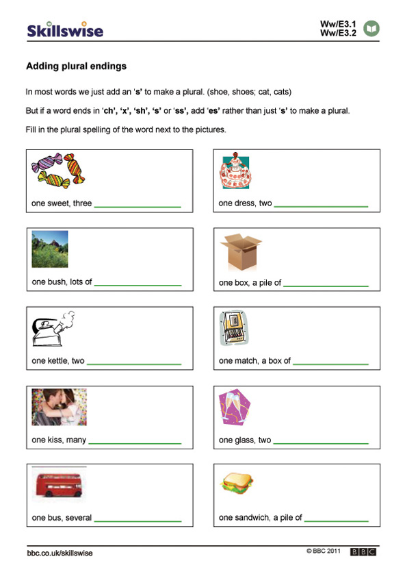 Adding plural endings | Recurso educativo 64252