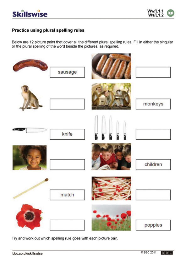 Practise using plural spelling rules | Recurso educativo 64256