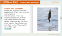 Bringing back bald eagles | Recurso educativo 64694