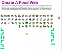Food webs | Recurso educativo 67326