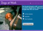 Dogs at work | Recurso educativo 67583
