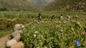 Afganistán, misión esperanza | Recurso educativo 71293