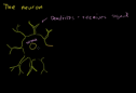Anatomy of a Neuron | Recurso educativo 72062