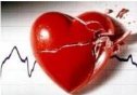 Diagnóstico de las enfermedades cardíacas | Recurso educativo 73180