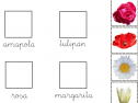 Colorear con los Bits de Lectura: Flores | Recurso educativo 74008