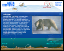 Arctic ecosystem | Recurso educativo 74422