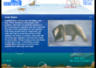 Arctic ecosystem | Recurso educativo 74422