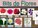 Bits Inteligencia: Las flores | Recurso educativo 78202