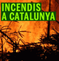 En quines condicions meteorològiques es produeixen més incendis a Catalunya? | Recurso educativo 84033