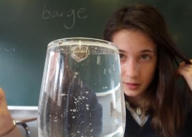 Estoy en ello...: Experimentos de Ciencia en 1º de ESO. Invisibilidad, | Recurso educativo 96971