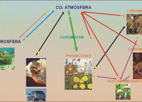 carbono.gif (image) | Recurso educativo 104764