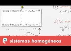 Sistemas homogéneos | Recurso educativo 109492