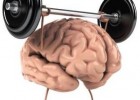 adn-dna: 349- Pon en forma tu cerebro practicando Brain Fitness | Recurso educativo 113758