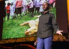 TEDTalk: My invention that made peace with lions | Recurso educativo 117063