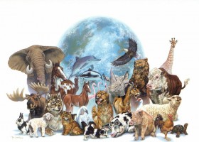 Mapa conceptual: Los animales | Recurso educativo 121036