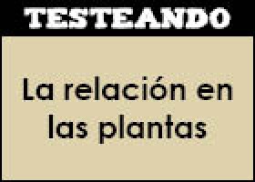 La relación en las plantas | Recurso educativo 352023