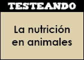 La nutrición en animales | Recurso educativo 352171