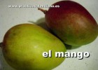 Vocabulari dels aliments en valencià (1a part) | Recurso educativo 612532