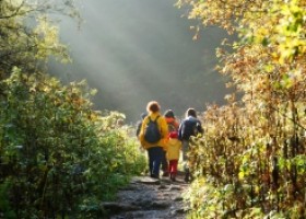 De l'estancament i la queixa a la inciativa i el canvi: El desenvolupament profe | Recurso educativo 627271