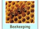 Bees Are Amazing! | Recurso educativo 676282