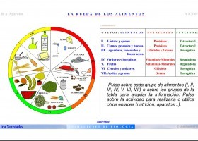 Rueda de los alimentos | Recurso educativo 677341