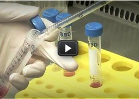 Biotechnology | Educational Video | Research with stem cells | Recurso educativo 679895