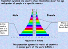 Population pyramids | Recurso educativo 683509