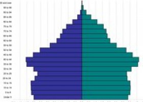 Constructing/Interpreting Population Pyramids | Recurso educativo 683510