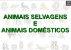 Animais selvagens e domésticos | Recurso educativo 683602