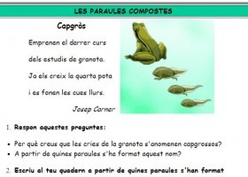 Les paraules compostes | Recurso educativo 683763