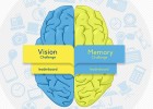 Tests de Visión y Memoria | Recurso educativo 686674