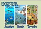 Os Ecosistemas | Recurso educativo 687161