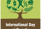 International Day of of Forests | Recurso educativo 725488