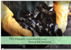 PEI Mussels: A Sustainable Story 02 - Farming and Harvesting | Recurso educativo 725508