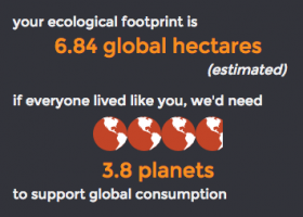 Ecological Footprint Calculator | Recurso educativo 724919