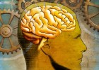 ¿Es cierto que usamos solo el 10% de nuestra capacidad cerebral? | Recurso educativo 730814