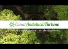 Vídeo turístico promocional de Andalucía | Recurso educativo 730944