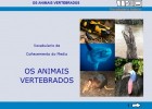 OS ANIMAIS VERTEBRADOS | Recurso educativo 734898